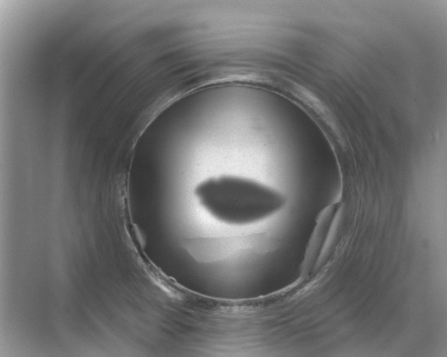 X0000069361377200605261947