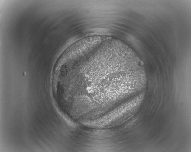 X0000069361378200605261947