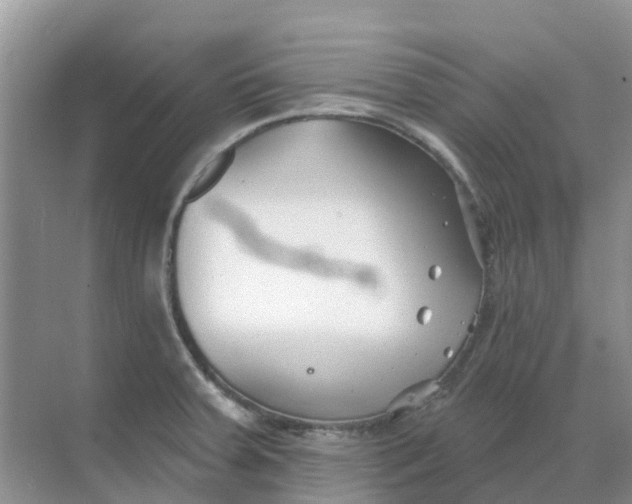 X0000069361379200605261947