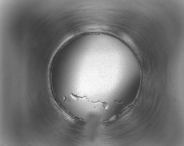 X0000069361384200605261947