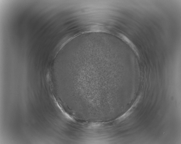 X0000069361385200605261947