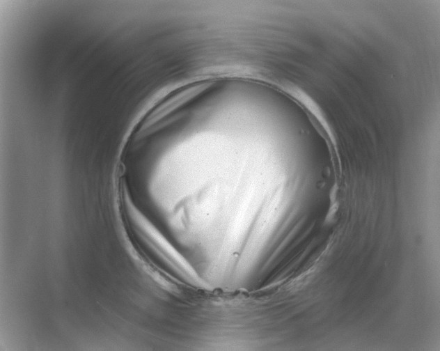 X0000069361389200605261947