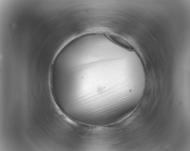 X0000069361390200605261947