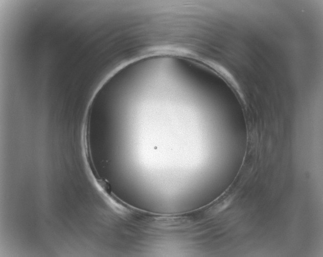 X0000069361391200605261947