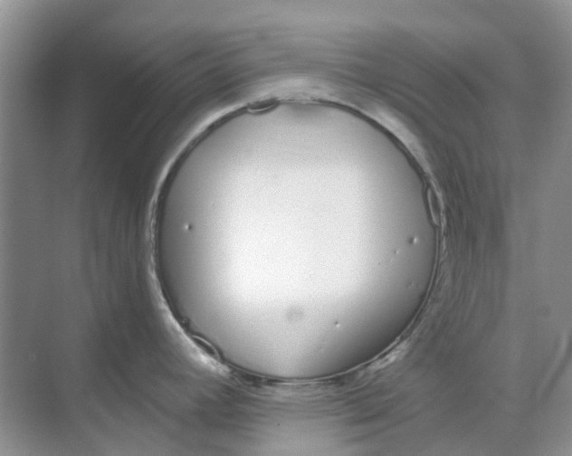 X0000069361392200605261947