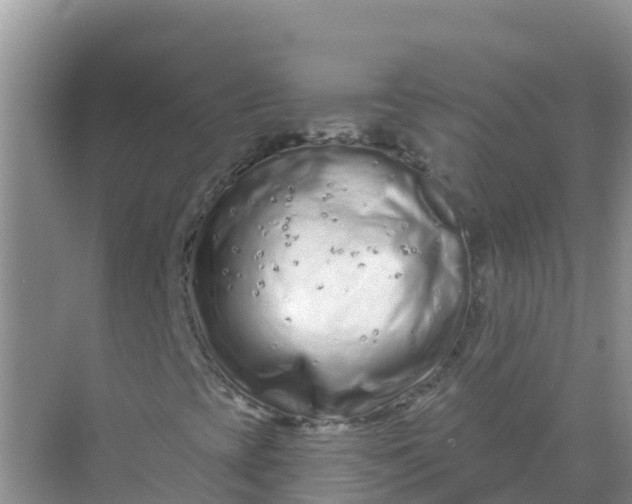 X0000069361393200605261946