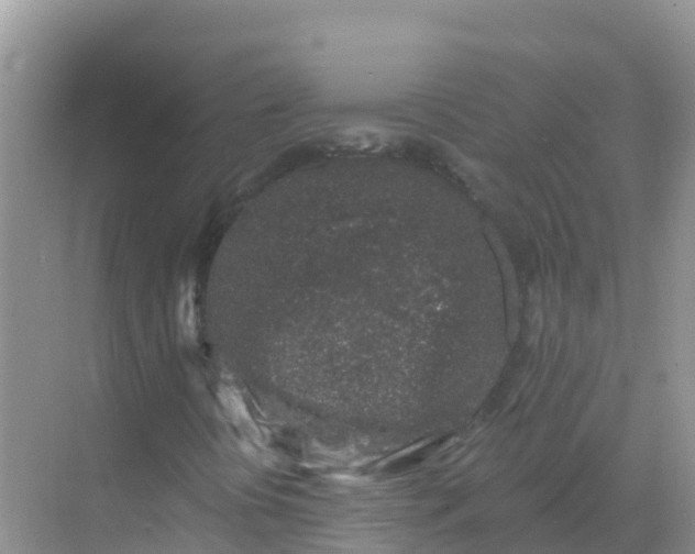 X0000069361394200605261946