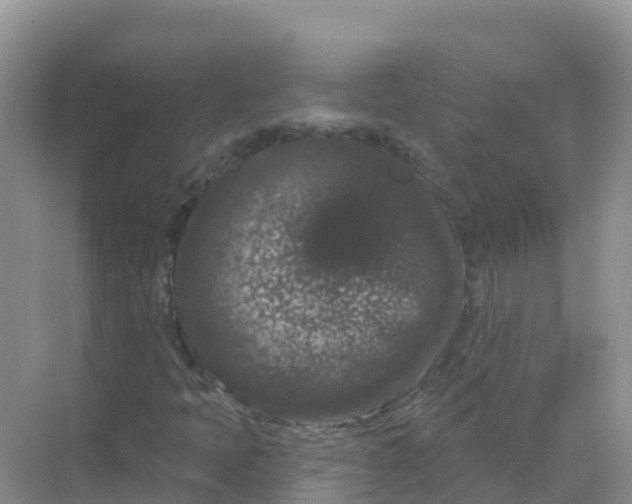 X0000069361397200605261946