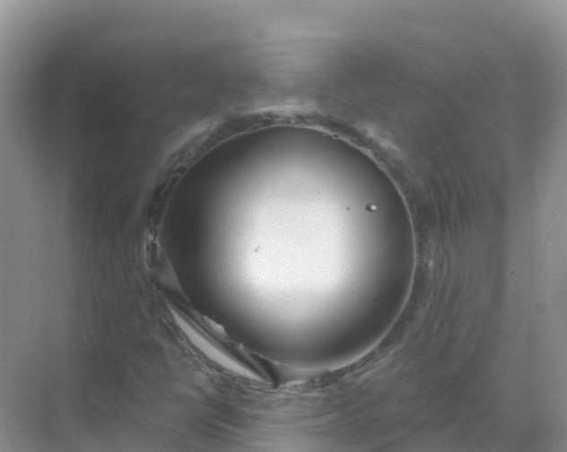 X0000069361398200605261946