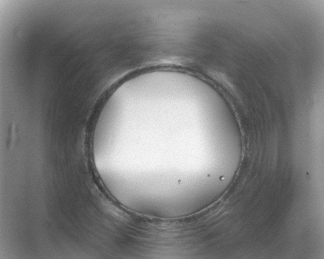 X0000069361404200605261947