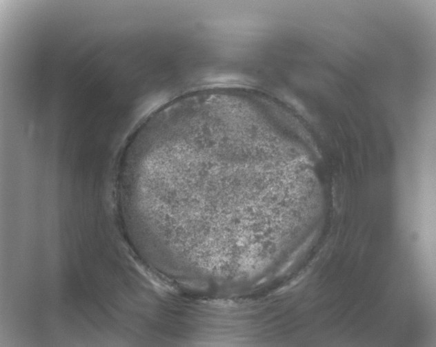 X0000069361405200605261947