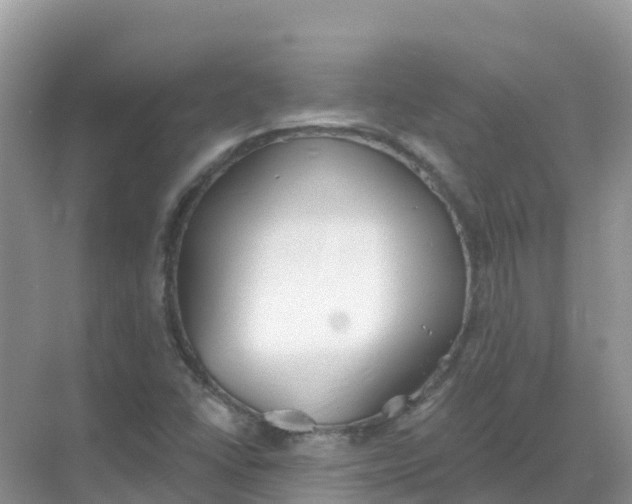 X0000069361406200605261947