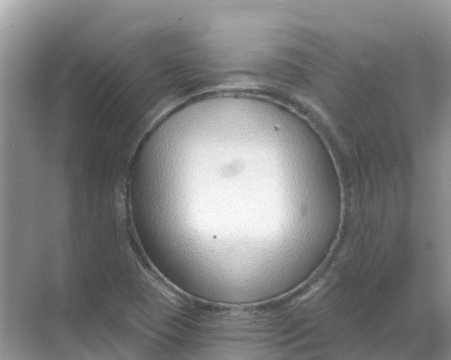 X0000069361409200605261947