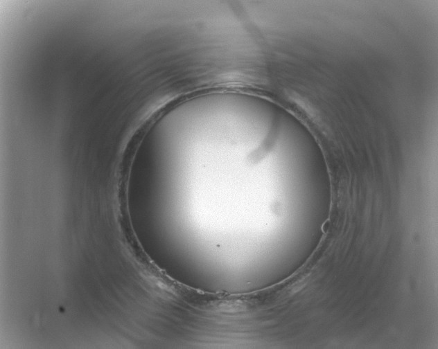 X0000069361410200605261947