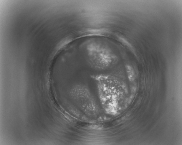 X0000069361411200605261947