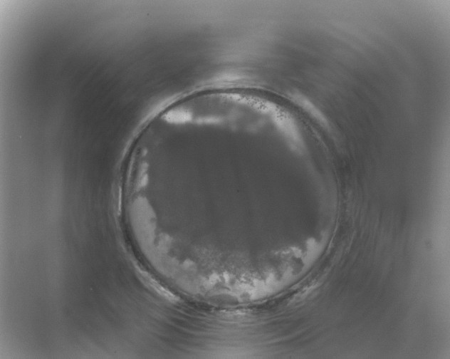 X0000069361413200605261947