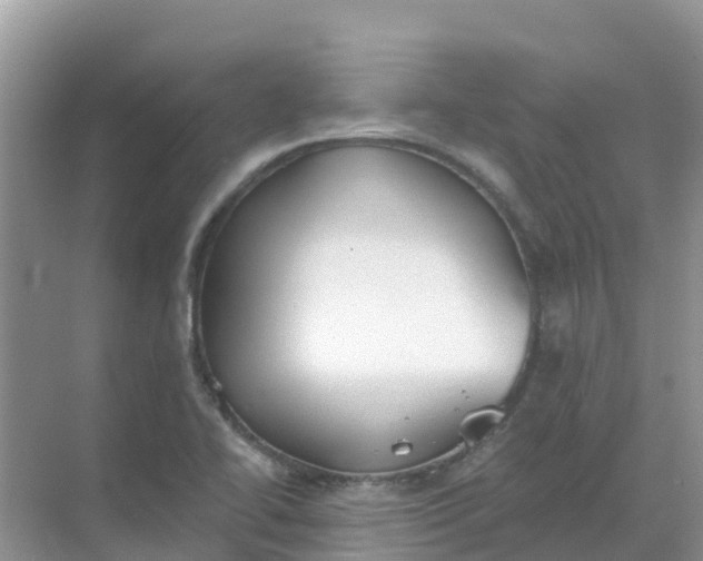 X0000069361414200605261947