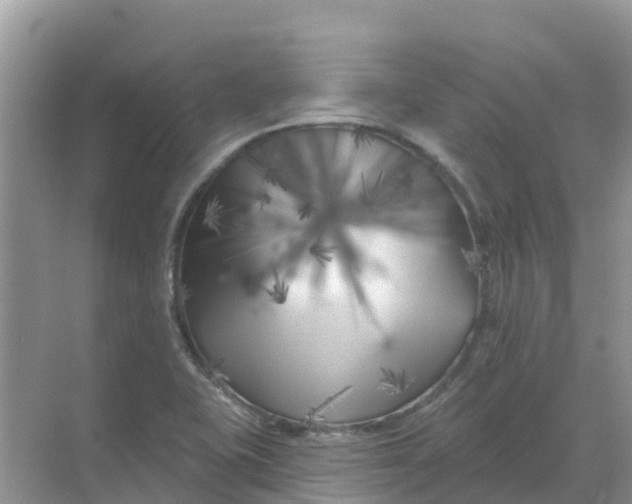 X0000069361415200605261947