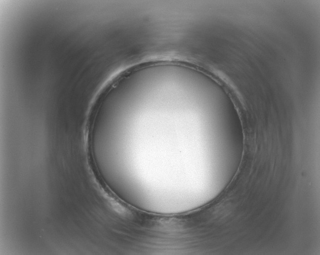 X0000069361416200605261947