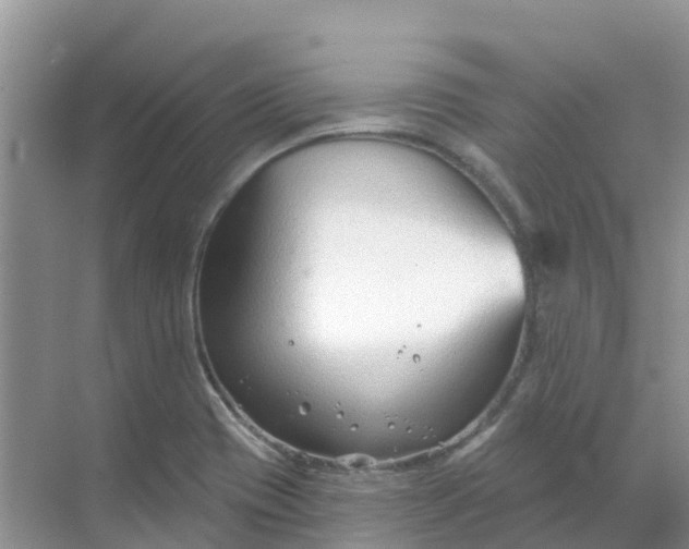 X0000069361417200605261947