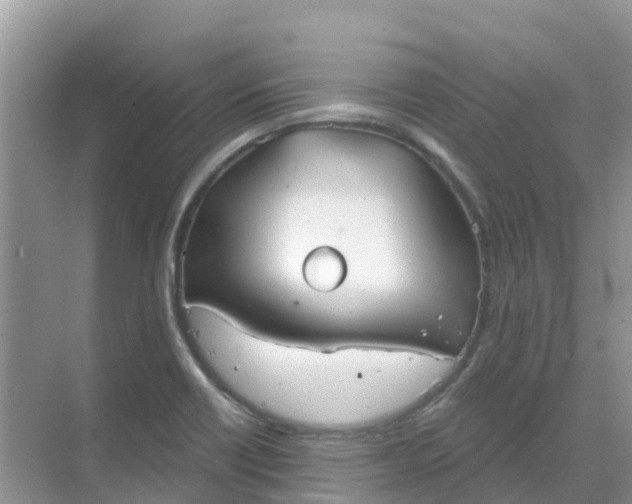 X0000069361418200605261947