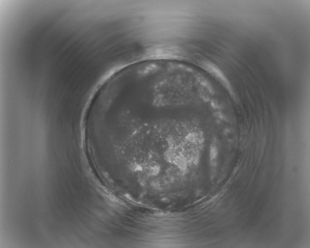 X0000069361419200605261947