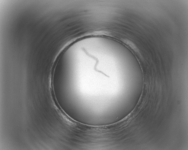 X0000069361420200605261947