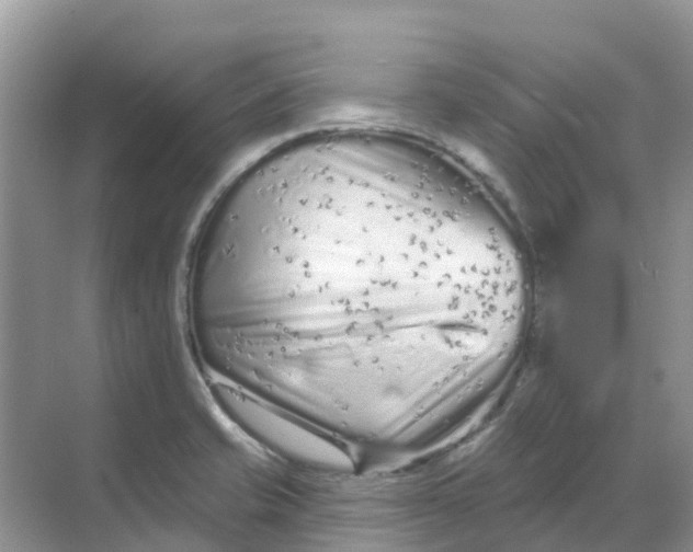 X0000069361421200605261947