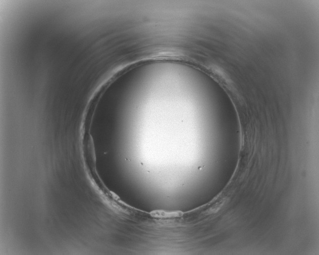 X0000069361422200605261947