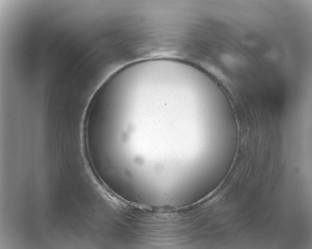 X0000069361423200605261947