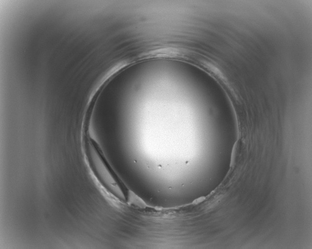 X0000069361426200605261947