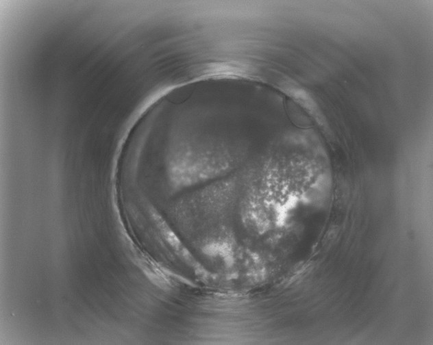 X0000069361427200605261947