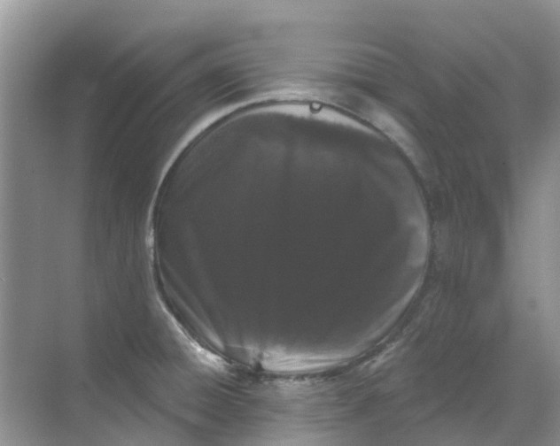 X0000069361428200605261947