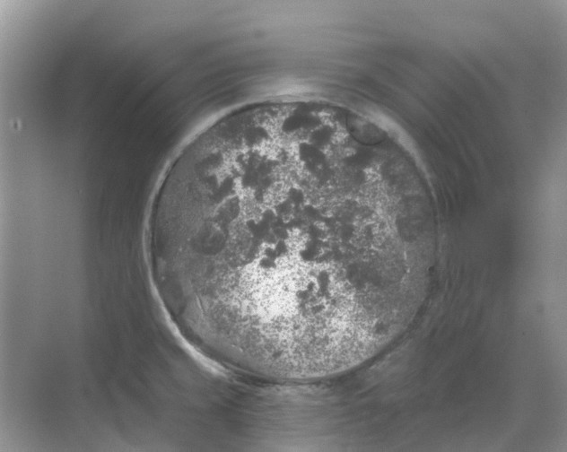 X0000069361429200605261947