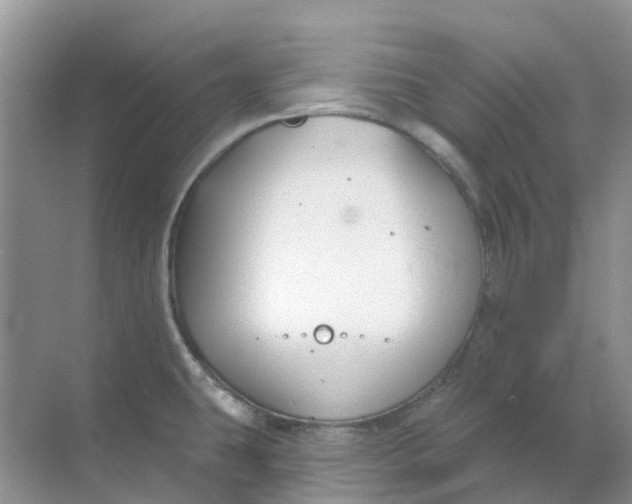 X0000069361431200605261947