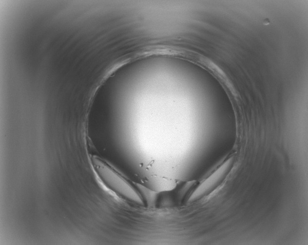 X0000069361433200605261947