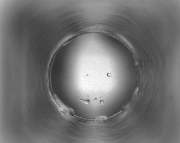 X0000069361434200605261947