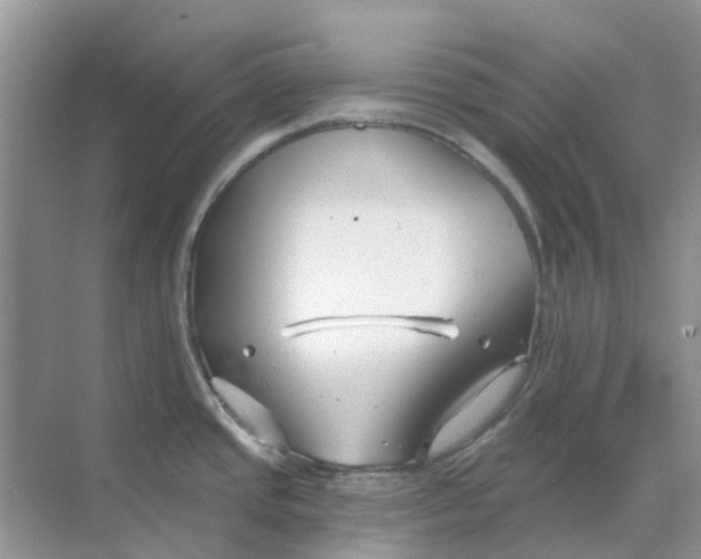 X0000069361437200605261947