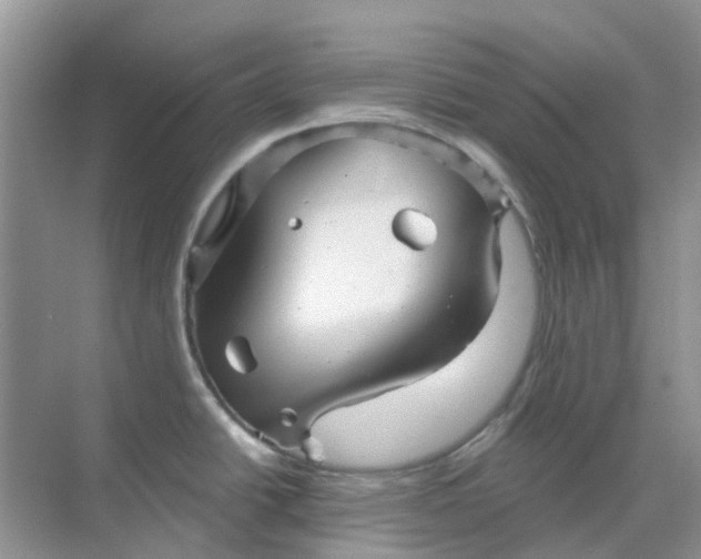 X0000069361438200605261947