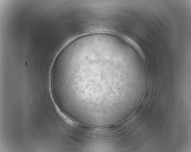 X0000069361439200605261947