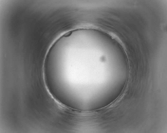 X0000069361440200605261947