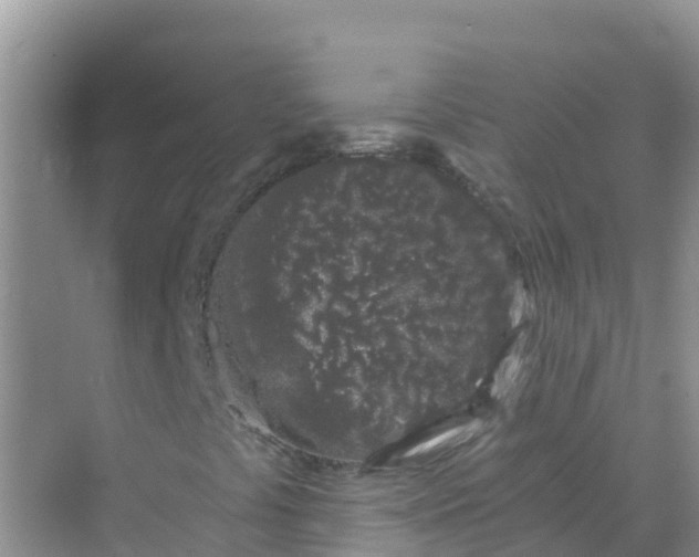 X0000069361441200605261946