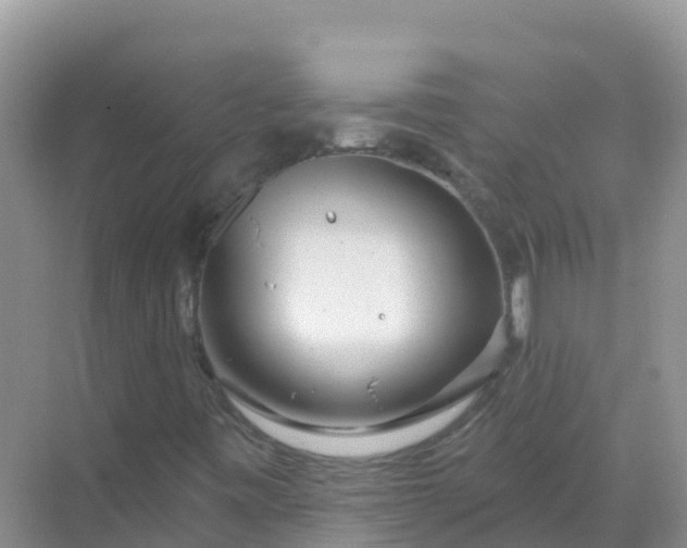 X0000069361443200605261946