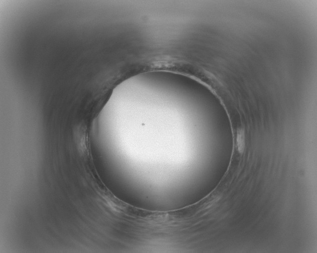 X0000069361444200605261946