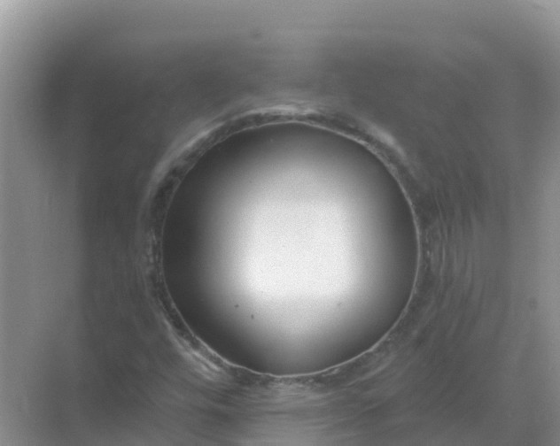 X0000069361448200605261946