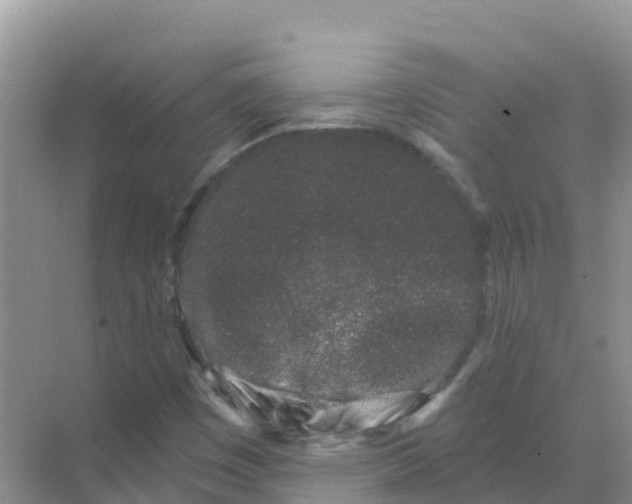 X0000069361449200605261946