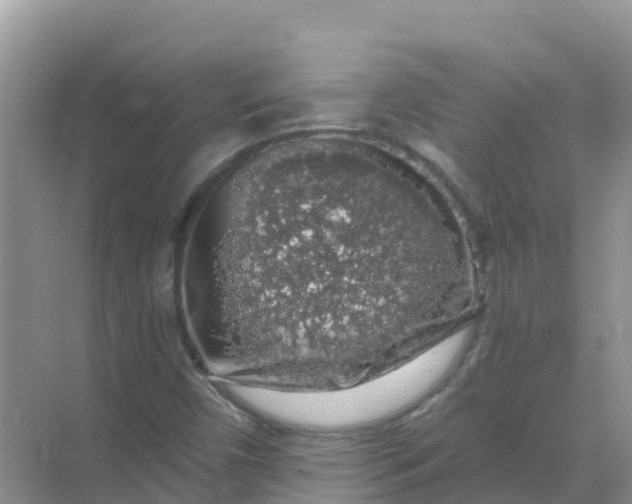 X0000069361450200605261946