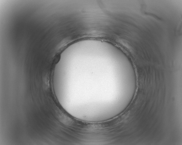 X0000069361451200605261946