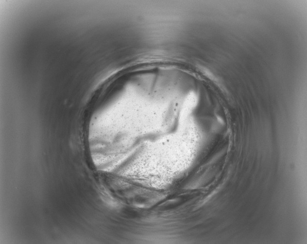 X0000069361453200605261946