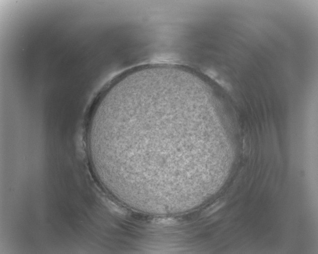 X0000069361454200605261946